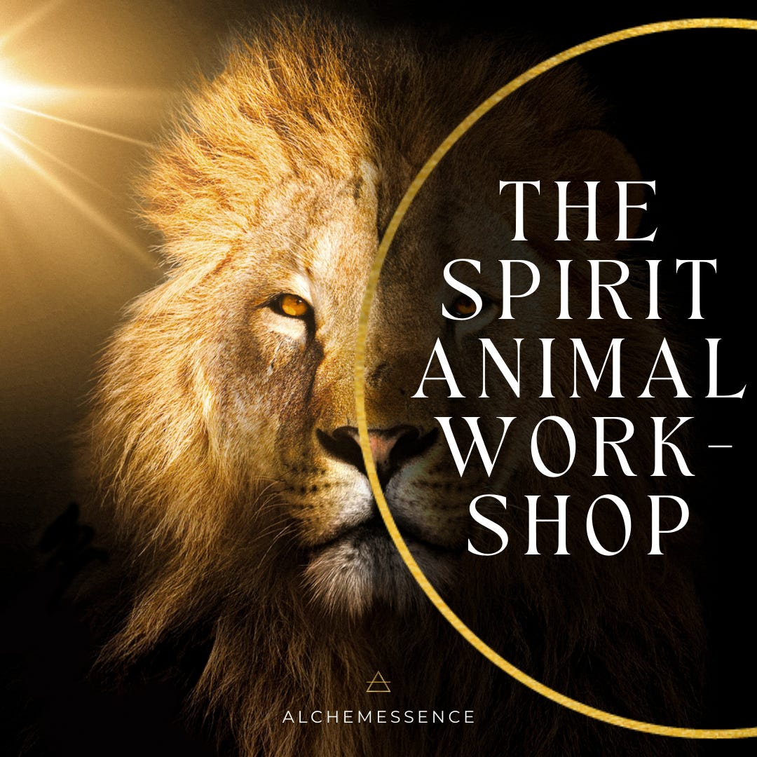 The Spirit Animal Workshop