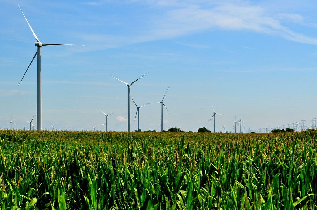 Under a blue sky with wispy high clouds, wind turbines stretch to the horizon above lush green fields of corn Under a blue sky with wispy high clouds, wind turbines stretch to the horizon above lush green fields of corn