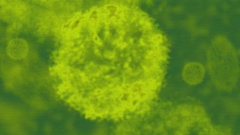 Το Άρθρο του 2020, του Dr. Stefan Lanka Καταρρίπτει την Λανθασμένη Αντίληψη για τους ΙΟΥΣ