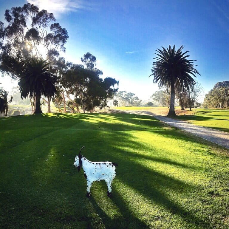 Goat Hil 1st tee Goat Hil 1st tee