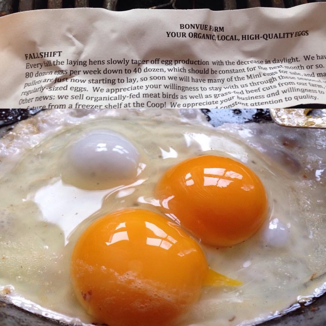 Two eggs are in a frying pan. A slip of paper explains that the chickens lay less often in fall and winter. Two eggs are in a frying pan. A slip of paper explains that the chickens lay less often in fall and winter.