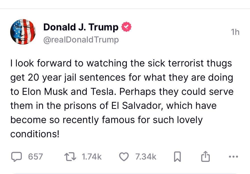 Screenshot of March 21, 2025 social media post by Donald Trump: 'I look forward to watching the sick terrorist thugs get 20 year jail sentences for what they are doing to Elon Musk and Tesla. Perhaps they could serve them in the prisons of El Salvador, which have become so recently famous for such lovely conditions!'