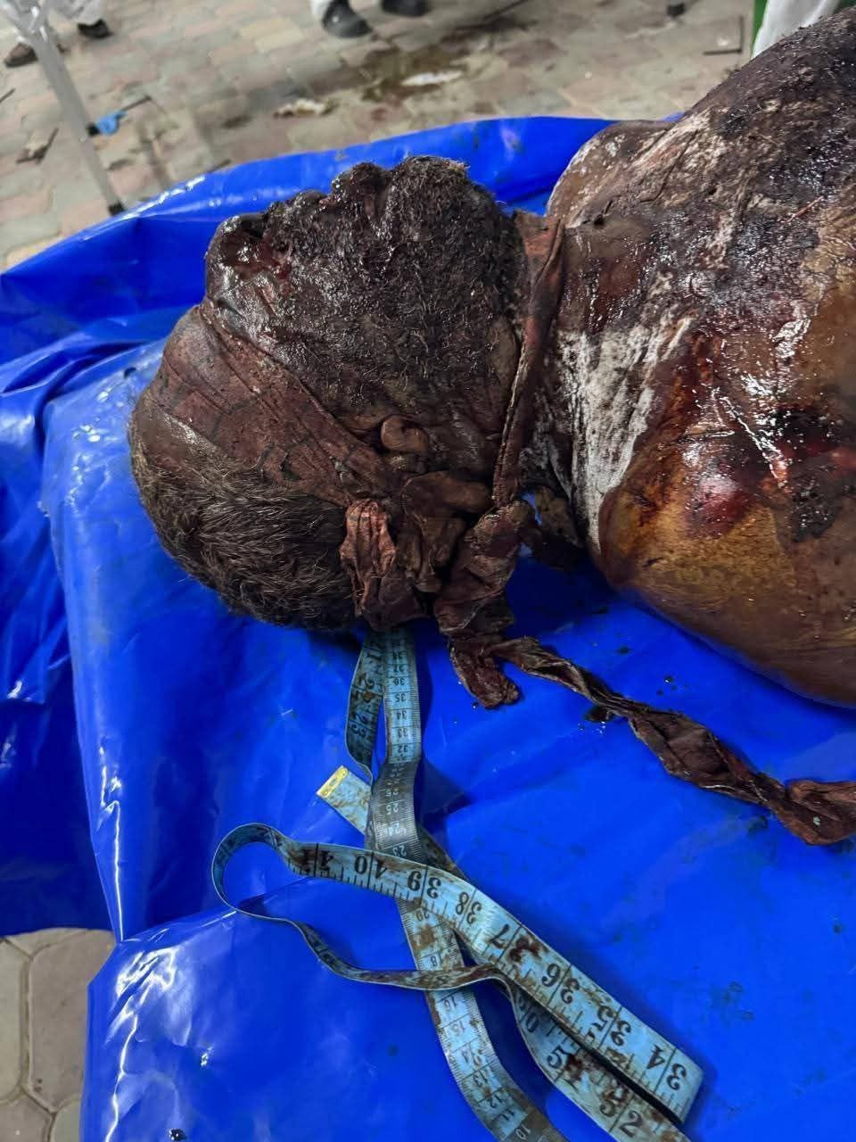 This is what Israel is doing to the bodies of dead Palestinian hostages - Palestine Will Be Free