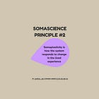 Somascience Principle #2