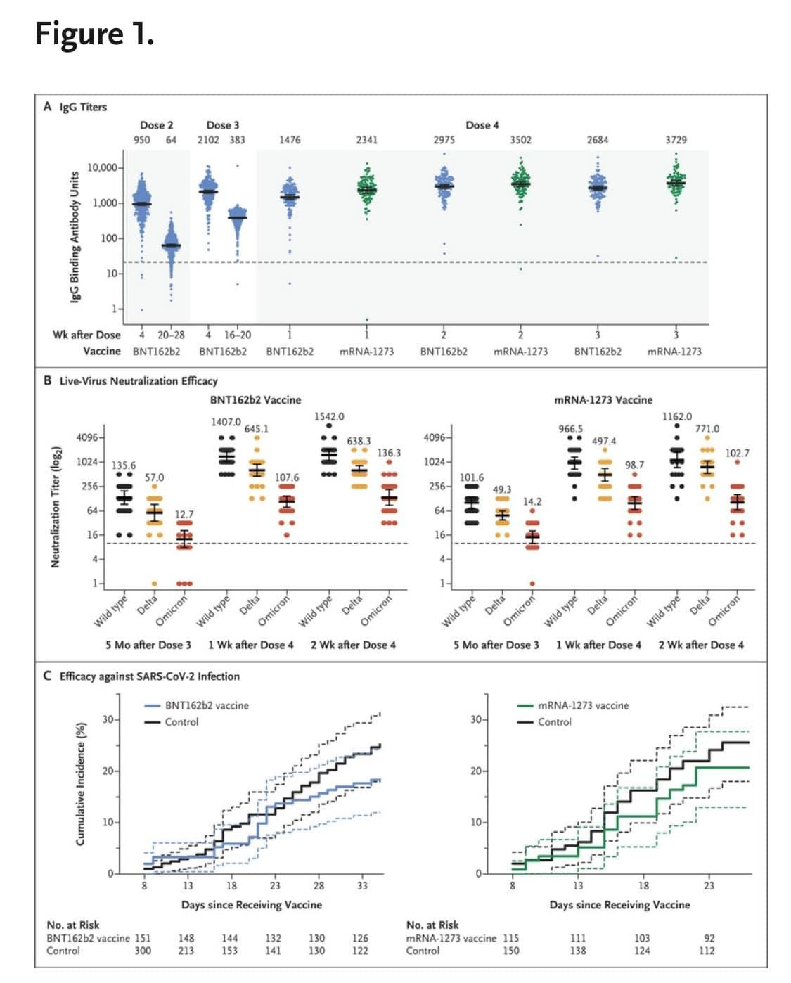 May be an image of text that says 'Figure 1. IgG Titers Dose2 950 Dose3 2102 383 1476 2341 1,000- Dose4 2975 3502 100- 2684 3729 BNT162b2 BNT162b2 BNT162b2 mRNA-1273 B Live-Virus Neutralization fficay BNT162b2 Vaccine 1407.0 645.1 1542.0 BNT162b2 mRNA-1273 BNT162b2 mRNA-1273 256- 638.3 57.0 王 mRNA-1273 Vaccine 1162.0 771.0 966.5 497.4 102.7 14.2 Wildtype Wildtype Delta c Efficacy against SARS-CoV-2 Infection Wildtype Omicron Dose4 Delta 30- ()) BNT162b2 vaccine Control 1Wk 2Wk 20- 30- mRNA- Control vaccine 20- Days since Receiving Vaccine BNT162b2 Control 148 300 132 130 130 126 122 Days since Receiving Vaccine Control vaccine 150 138 124 92 112'