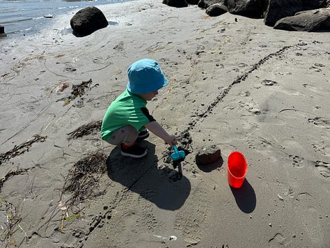Images of the beach in sweden and few distant family members