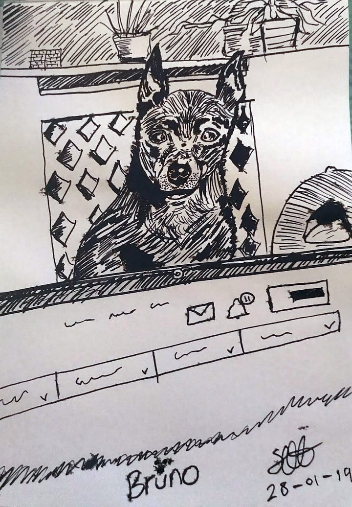 First drawings after 20 years.