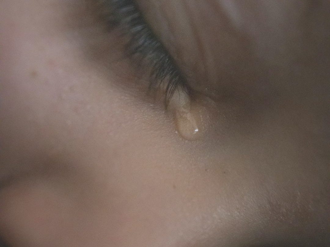 persons face in close up persons face in close up