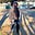 Sachin's avatar