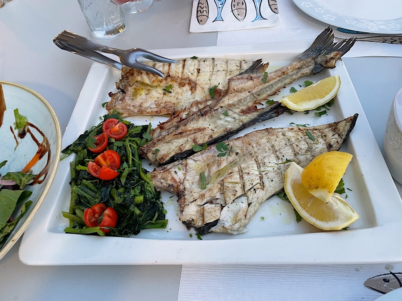 Our carefully chosen fish