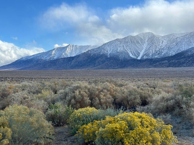 r/SierraNevada - First look at the Eastern Sierra after the storm