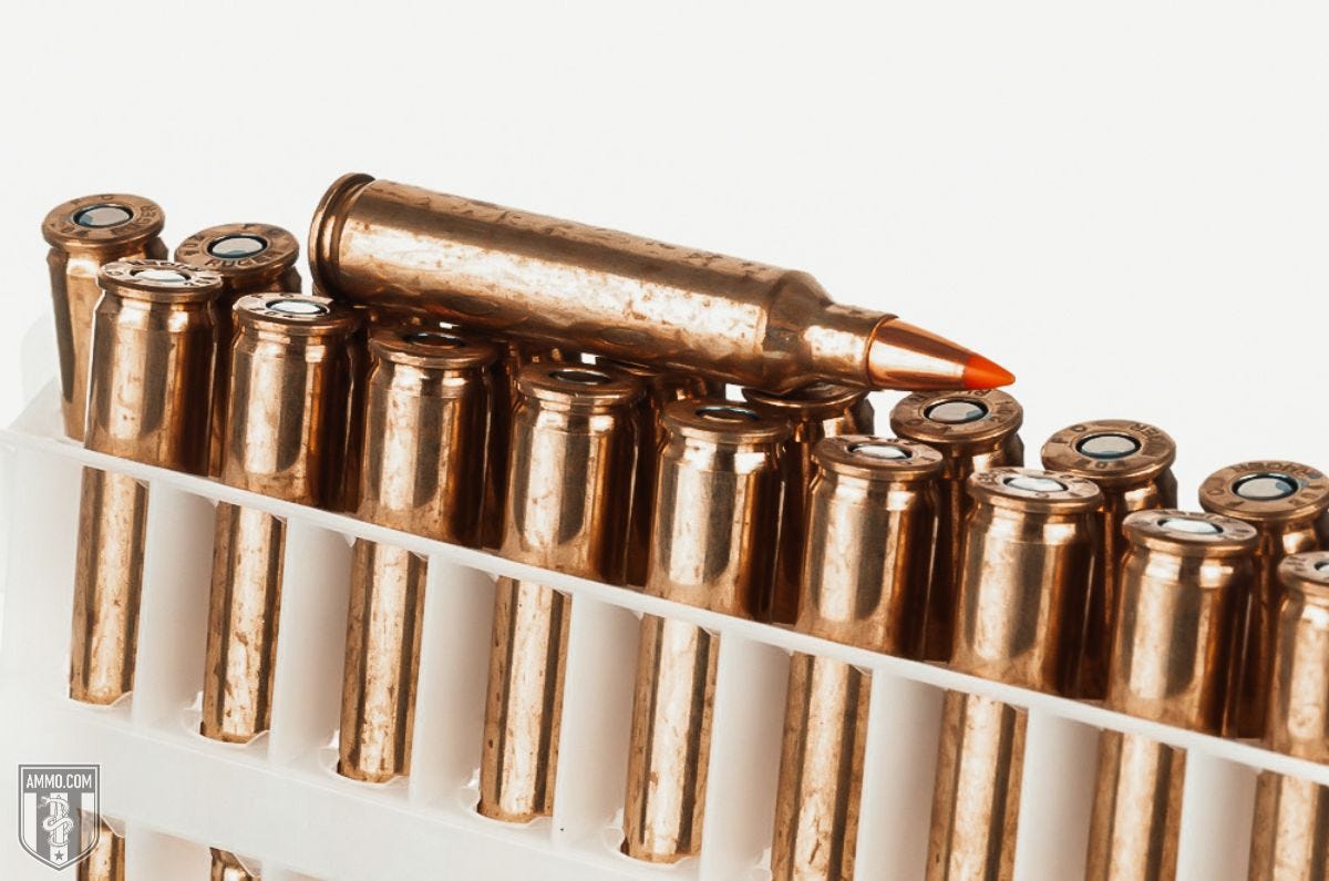 204 Ruger ammo for sale