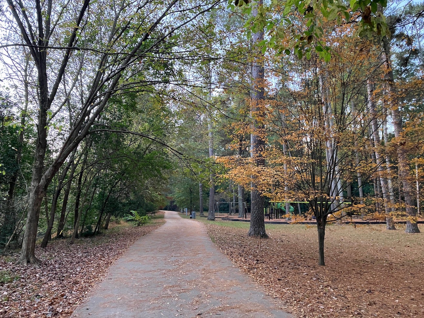 Autumn greens and orange on the trees by the trail