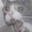 Osama Hamada's avatar