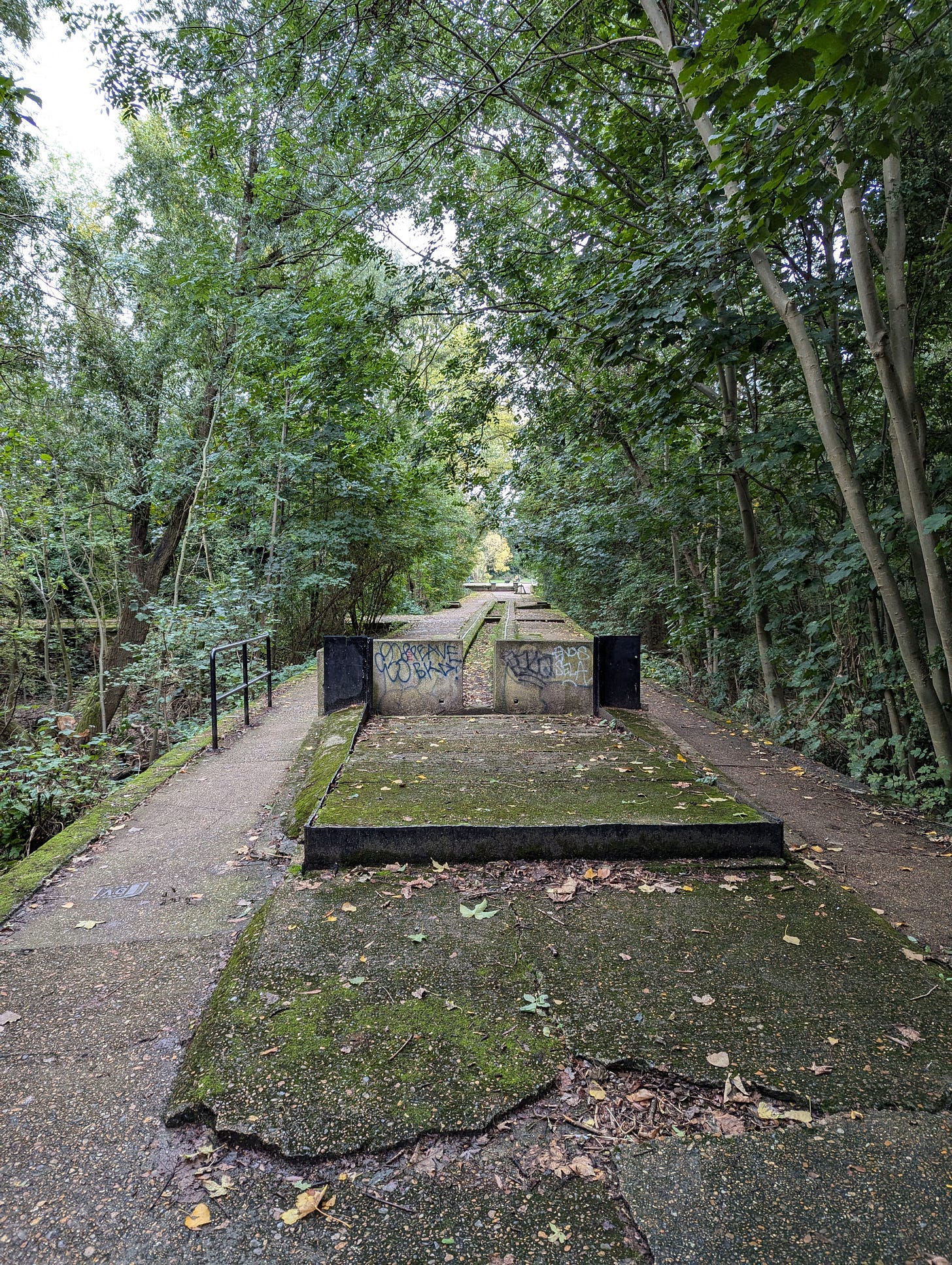 Graffiti on concrete material in the middle of a pathway surrounded by tall trees.