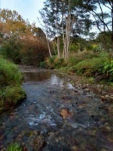 Whangarahi Stream crossing Whangarahi Stream crossing