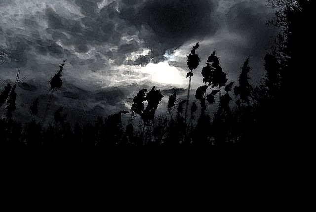 Darkness - Wikiquote