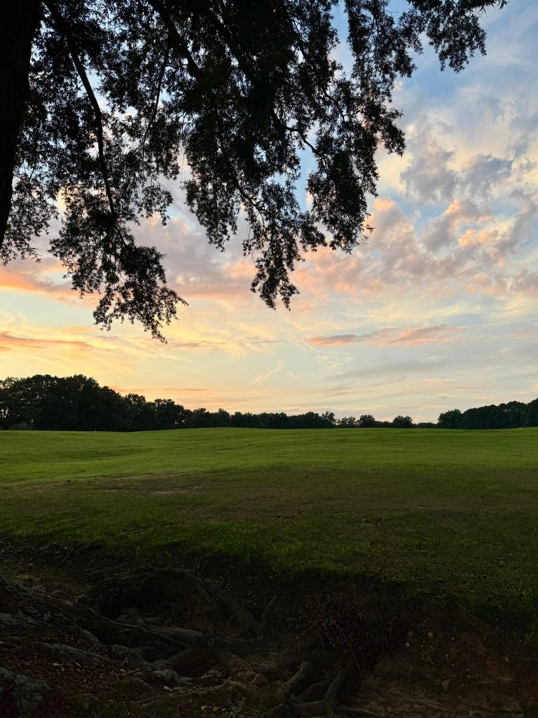 rolling hills outside with a sunset 