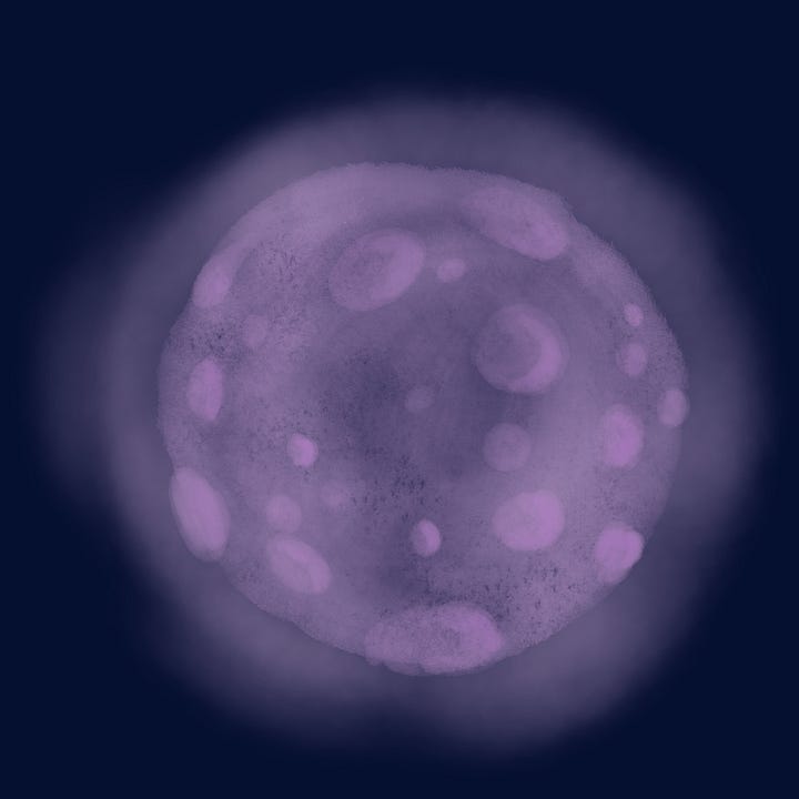Pink Moon