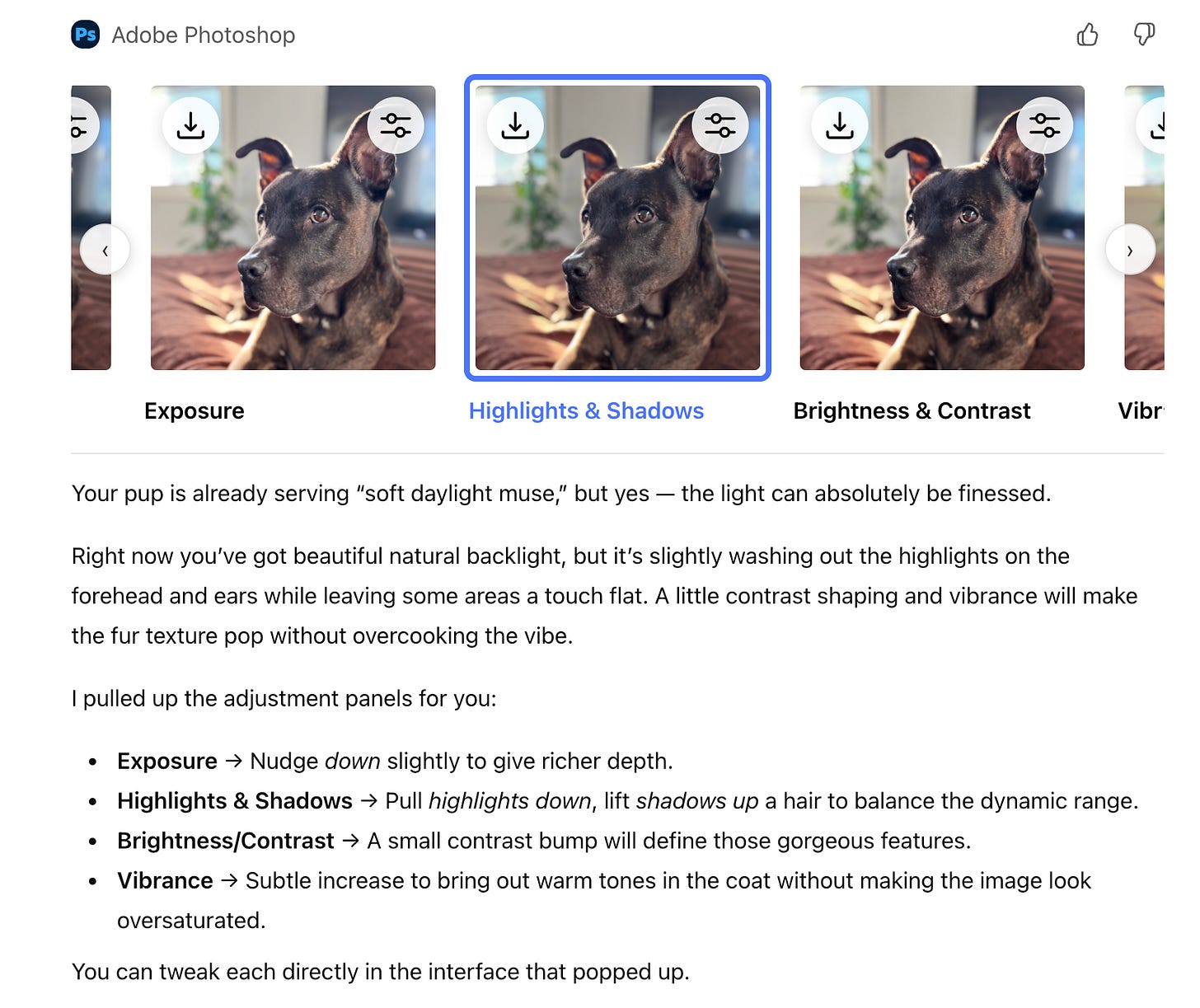 A screenshot of ChatGPT using Adobe Photoshop to analyze a photo of a dark brown pitbull sitting on a couch with bright natural backlight. The interface shows four adjustment previews—Exposure, Highlights & Shadows, Brightness & Contrast, and Vibrance—each applied to the same dog photo. Below the previews, ChatGPT provides written guidance on which adjustments to make, including nudging exposure down, lowering highlights, lifting shadows, increasing contrast, and adding subtle vibrance.
