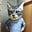 Connie the Cat's avatar