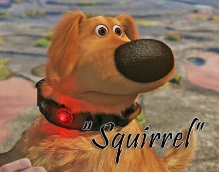 May be an image of text that says 'Squirrel"'