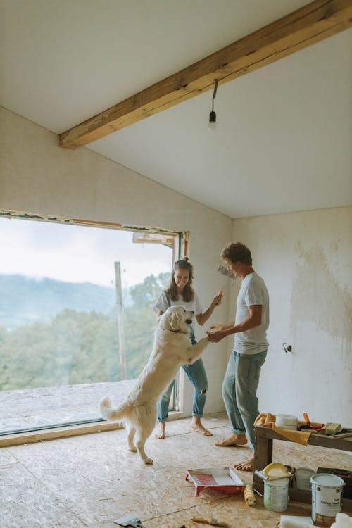Free A couple enjoys a playful moment with their dog while renovating their home with large open views. Stock Photo