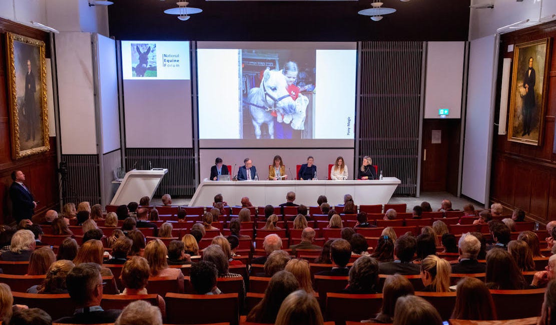 National Equine Forum to address several sector challenges 