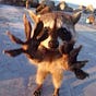 sammy's avatar