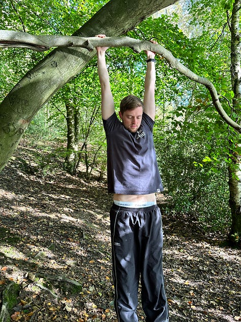 Garbutt Wood Nature Reserve, North Yorkshire