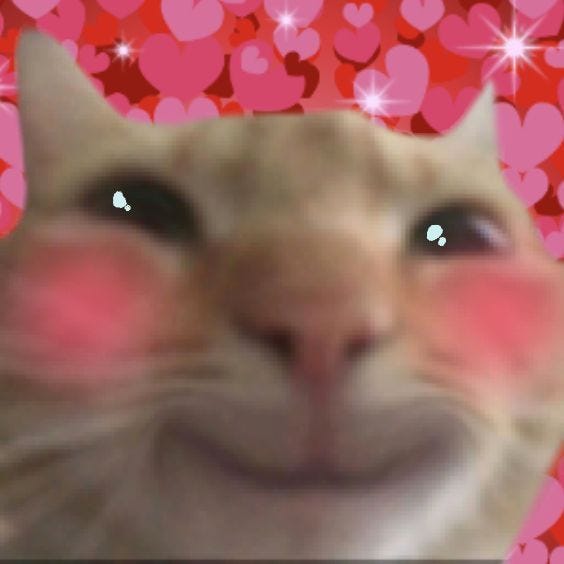 This may contain: an image of a cat with hearts all over it's face and the caption says, i love you