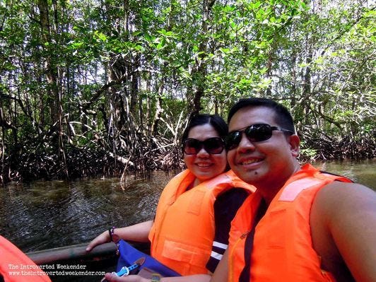 Travel Mangrove forest tour in Puerto Princesa, Palawan