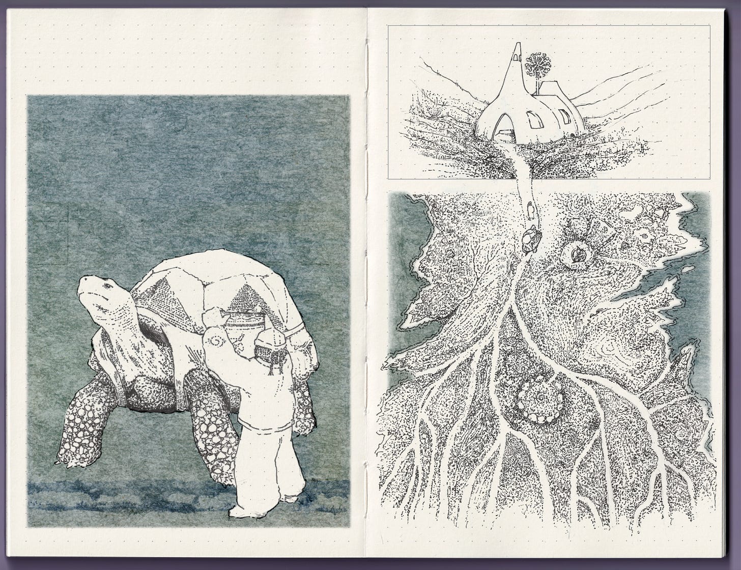 a character loads a basket onto the back of a giant tortoise and guides it home to their hut