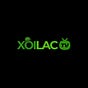 Xoilac TV Link Trực Tiếp's avatar
