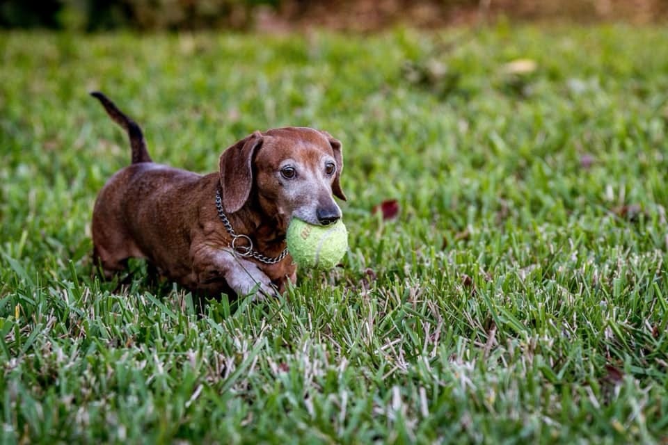 No photo description available.