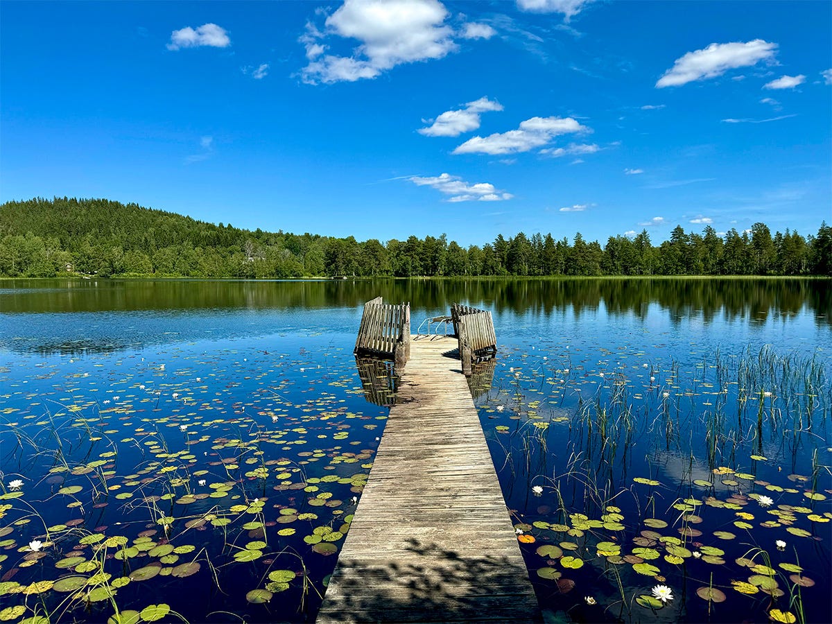 June in Maine - Clear Skies & a Lake June in Maine - Clear Skies & a Lake