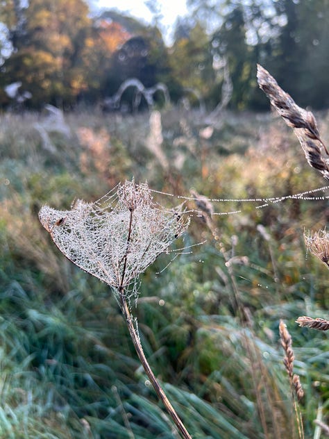 Each bird and stone, each roof and well,feels the gold foot of autumn pass;each spider binds with glittering snarethe splintered bones of grass.