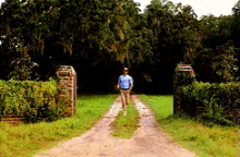 Run Forrest Run GIFs | Tenor