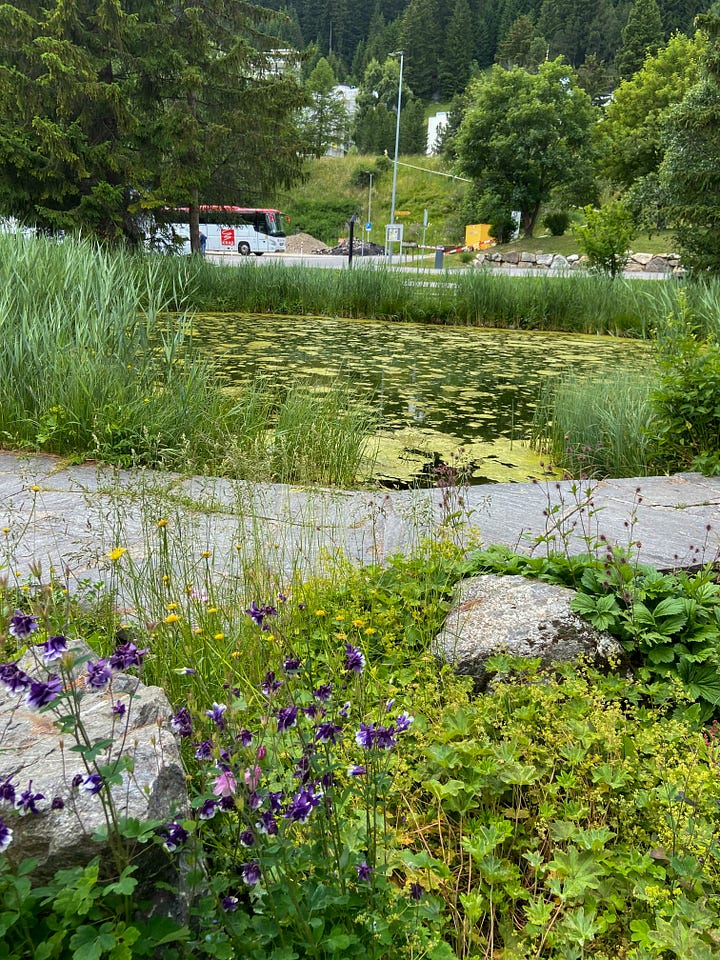 Pictures of park next to the conference center in Davos