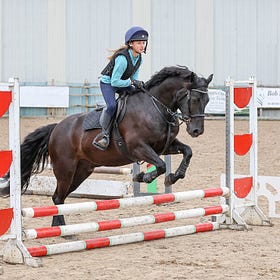 Talent on display at Connell Hill Training Show