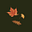 Allison Lever's avatar