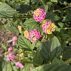 How to Re-Resource Ourselves