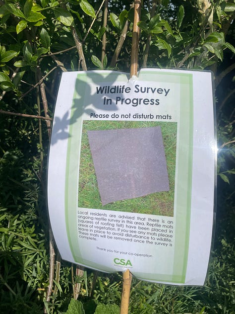 A grey rectangle set on green grass with white flowersr and a small sign behind; a curling snakeskin held against green background; a sign reading 'Wildlife Survey in Progress: please do not disturn mats'