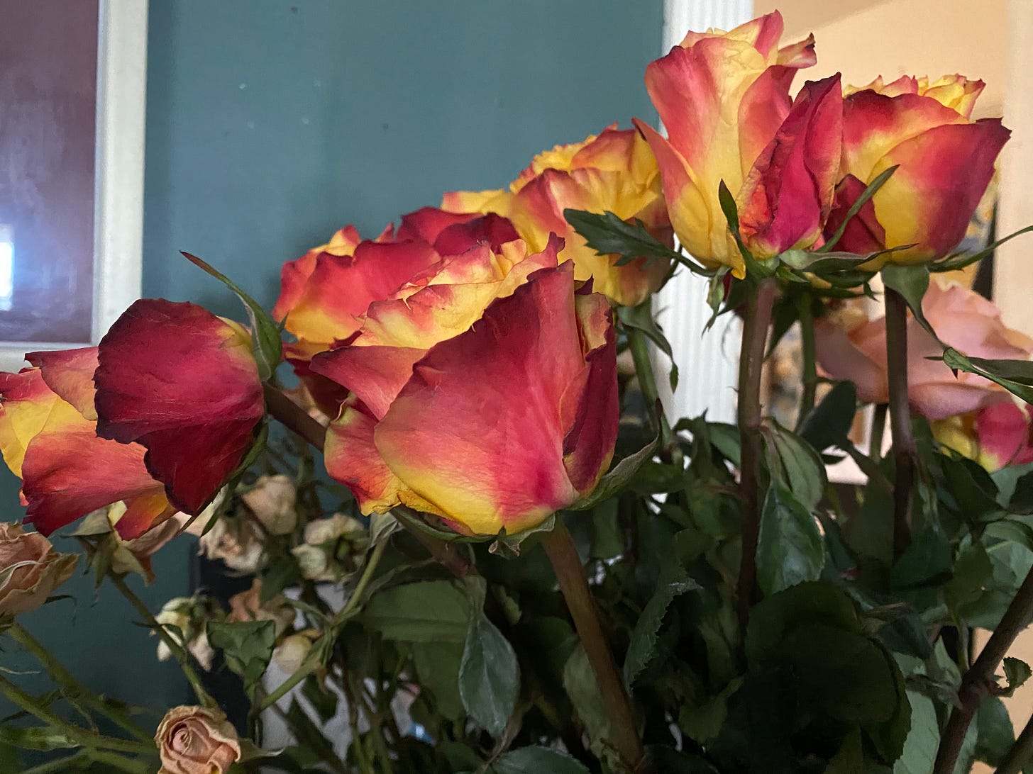 red and yellow roses
