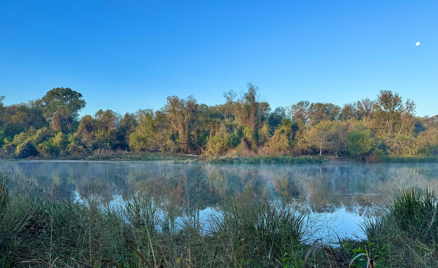 Wooded riverbank in winter Wooded riverbank in winter