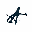 Aidan Oetken's avatar