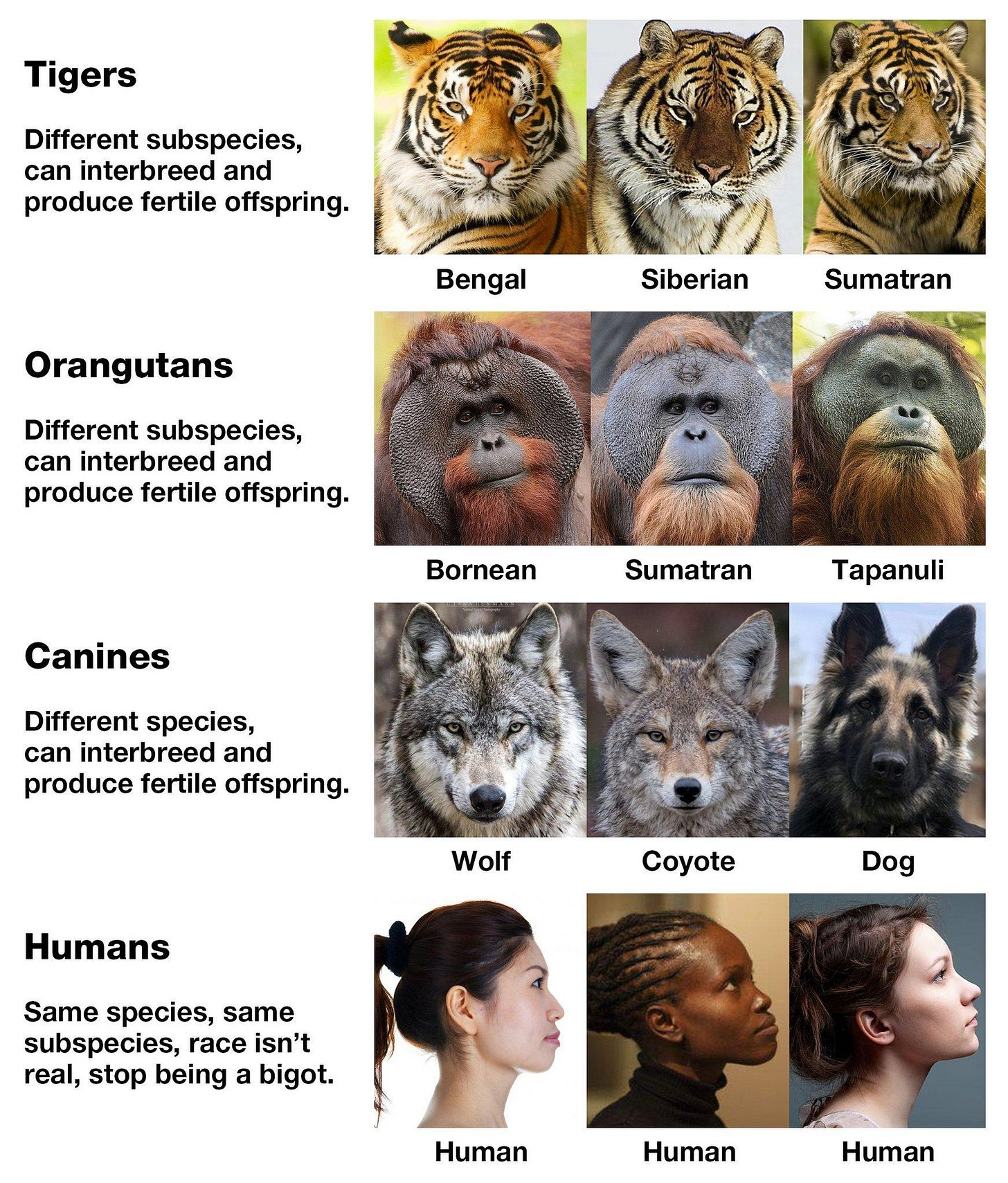 Actual racism and scientific illiteracy all in one : r/TheRightCantMeme