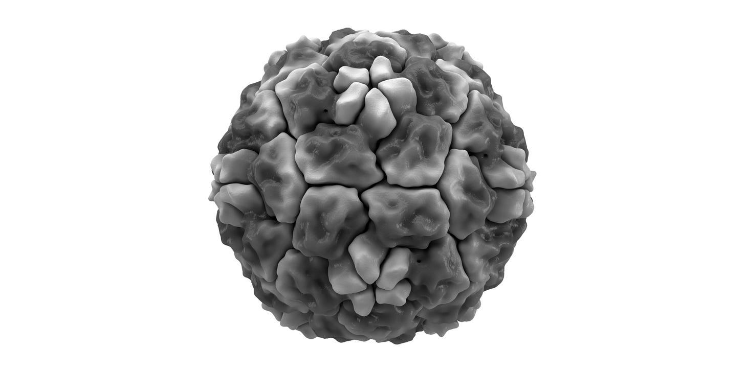 Rhinovirus_isosurface