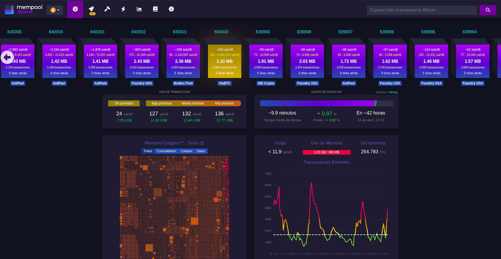 WTF Seremos Millonarios después del halving?