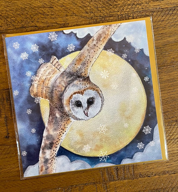 Polar Bear Family & Barn Owl